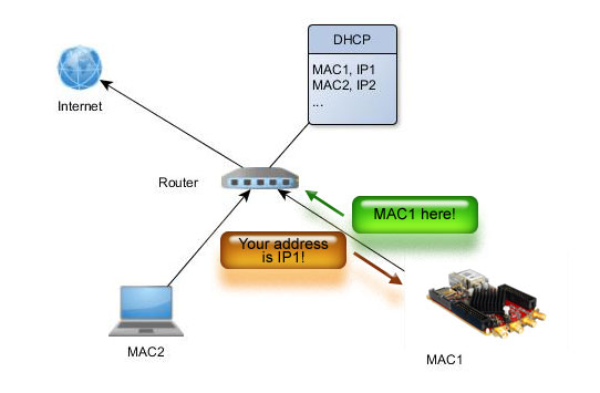 dhcp-01
